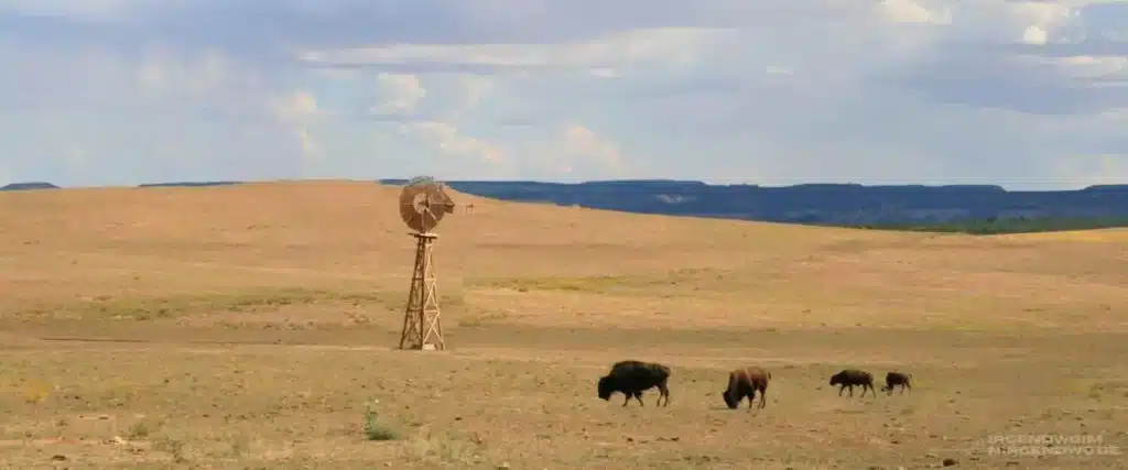 Reiseblog Camper Suedamerika