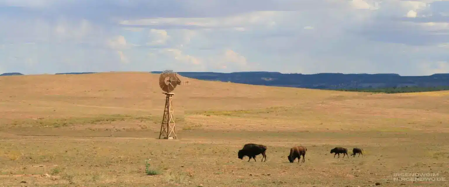 Reiseblog Camper Suedamerika