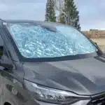 Blackout, thermal mats Ford Custom front from the outside