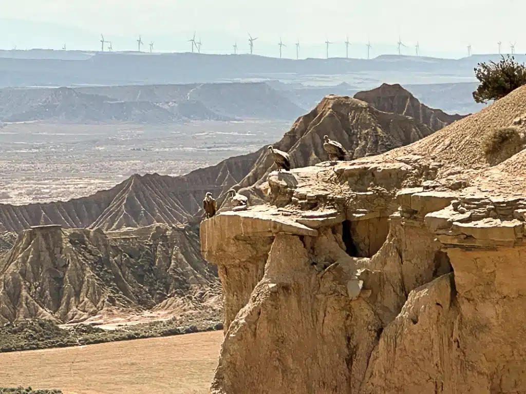VanEssa Camper Mercedes Sprinter in Spanien Pyrenäen