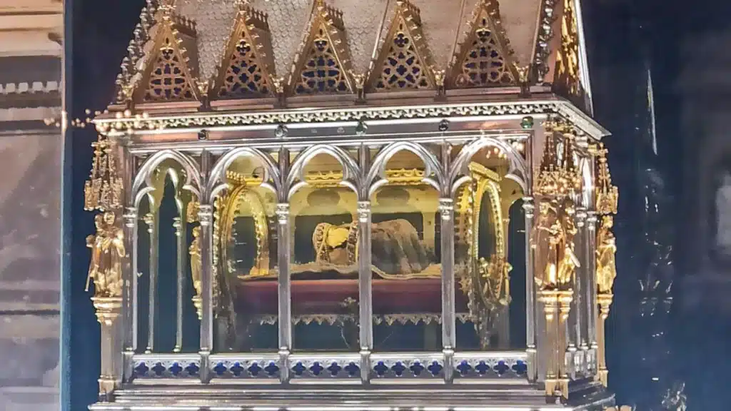 VanEssa in Ungarn 2024 im VW-Bus T6 Transporter mit Heckküche Schlafsystem Innenraumturm und Zubehör